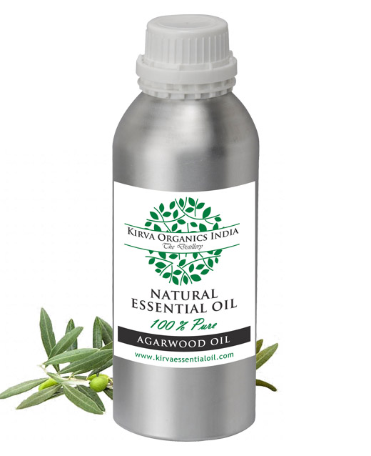 DILL SEED OIL - Kirva Organics India